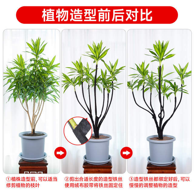 Gardening bonsai iron wire modeling special tie wire soft binding silk pan tie shaping flower pot setting tool