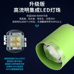 爆绿苔灯 新人首单立减十元 22年9月 淘宝海外