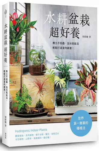 水耕盆栽 新人首单立减十元 22年2月 淘宝海外