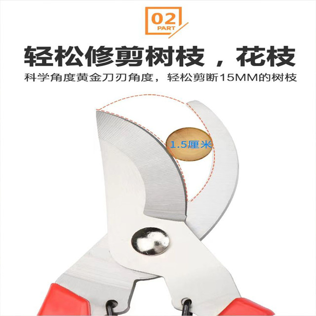 Branches pruning flower cut flower art clipping pruning flower branch shears branch branches fruit tree scissors garden cut garden cut