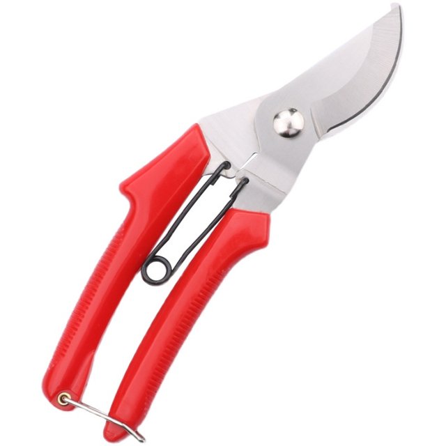 Branches pruning flower cut flower art clipping pruning flower branch shears branch branches fruit tree scissors garden cut garden cut