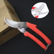 Branches pruning flower cut flower art clipping pruning flower branch shears branch branches fruit tree scissors garden cut garden cut