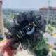 2025 new black swan organza seersucker temperament grab clip high luxury shark clip