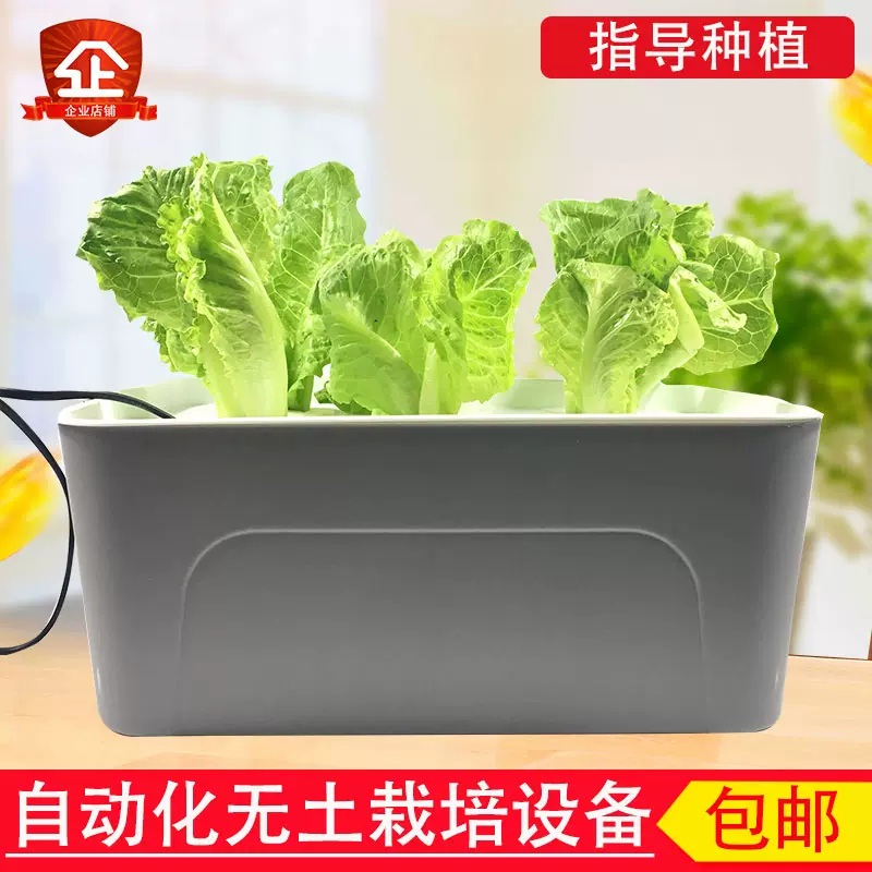 水培蔬菜种植箱阳台种菜神器无土栽培设备水耕草莓