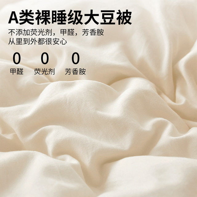 Soybean quilts in spring, autumn and winter quilt thickened warm quilt core student dormitory single summer cool air conditioner is used in all seasons