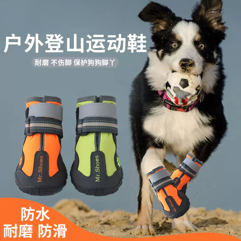 狗狗鞋子柯基犬 新人首单立减十元 21年10月 淘宝海外