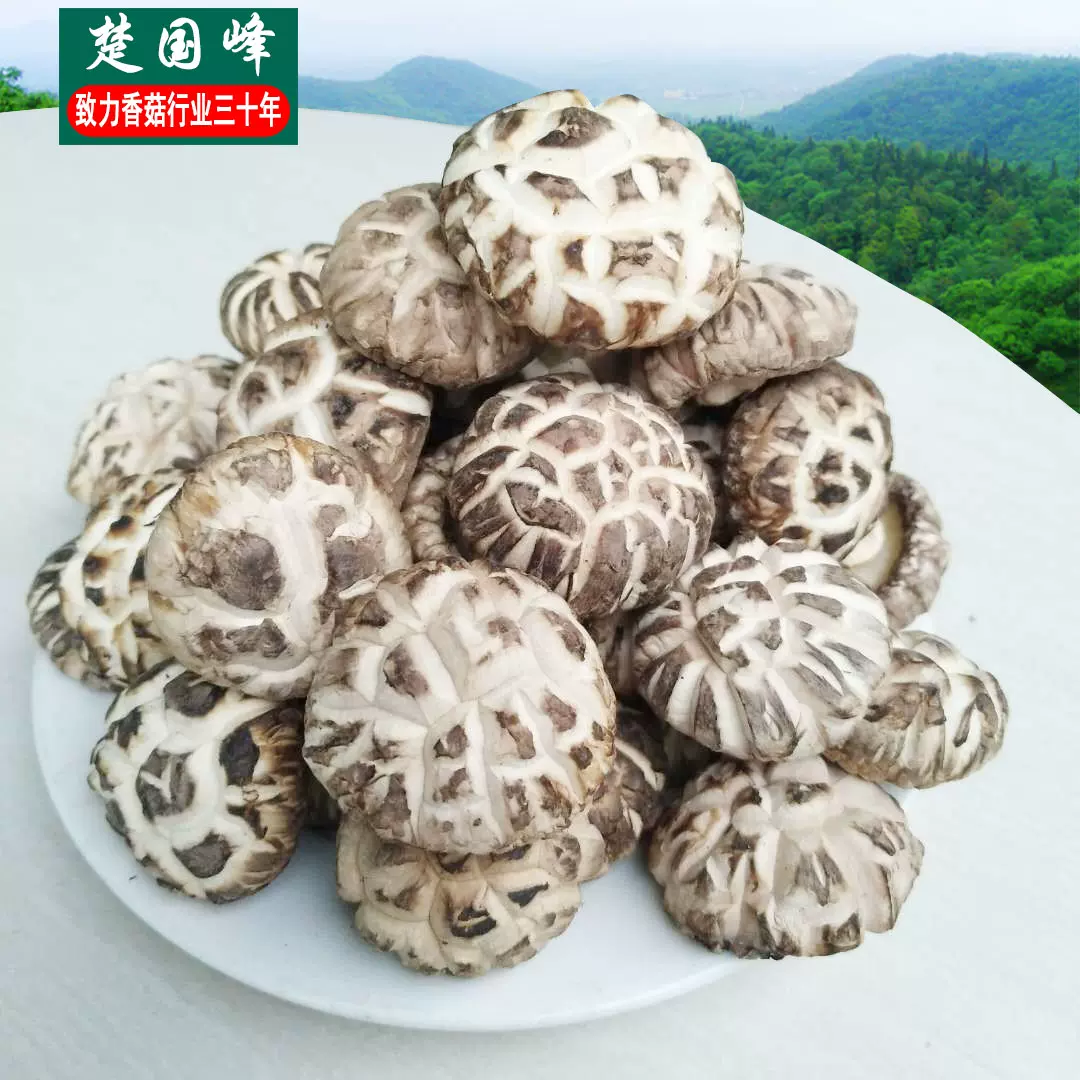 高山白花菇特级野生剪脚香菇茶花菇干货珍珠菇商用干冬菇 高山白花菇特级野生剪脚香菇茶花菇干货珍珠菇商用干冬菇