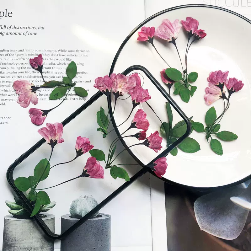 海棠花樱花干花押花标本diy手工相框贴画时光宝石滴胶手机壳