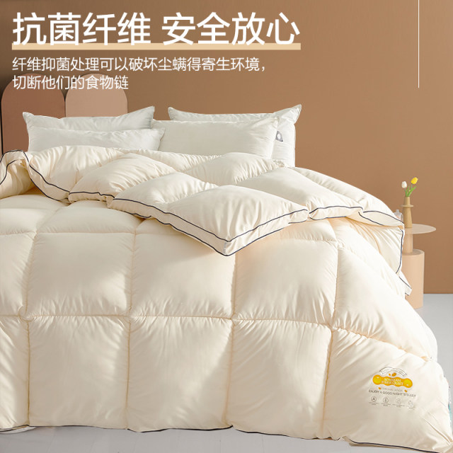 Soy fiber quilt winter quilt quilt core student dormitory thickened warm spring and autumn quilt air-conditioned quilt single winter day