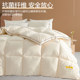 Soy fiber quilt winter quilt quilt core student dormitory thickened warm spring and autumn quilt air-conditioned quilt single winter day