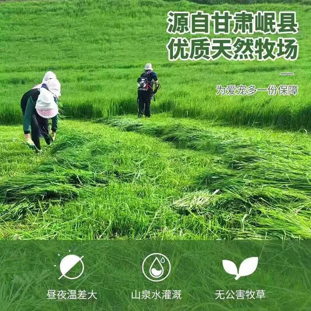 Jesse new grass drying Timothy grass rabbit grass hay grass section ...