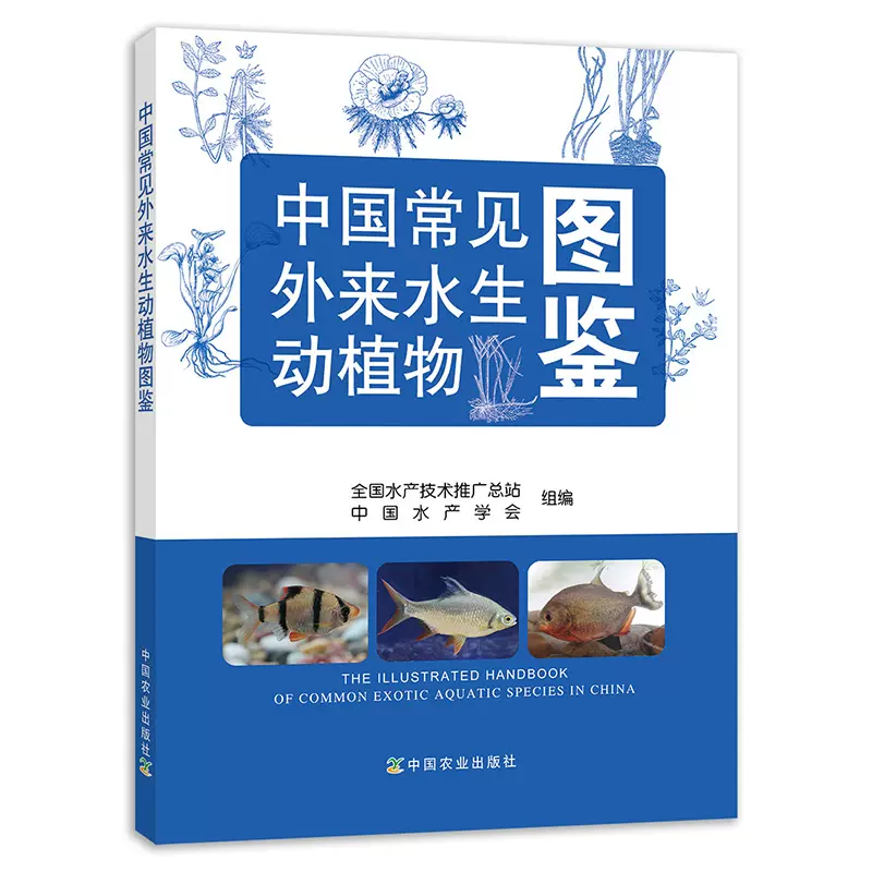 中国水生植物 新人首单立减十元 21年12月 淘宝海外