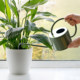 Worschworth watering kettle long mouth kettle retro gardening home balcony plant succulent potted plant watering kettle