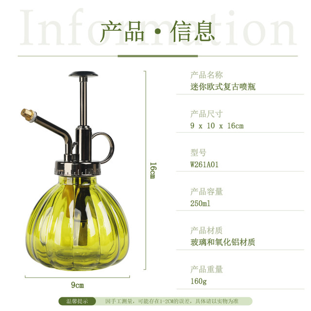 Worschworth glass small watering can watering kettle retro orchid sprayer gardening household disinfection watering kettle