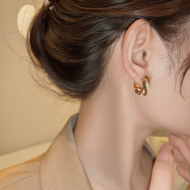 Zhao Lusi's same style Maillard hoop earrings for women 2025 new high-end earrings autumn and winter earrings gold earrings