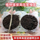 Plant high-pressure propagation box, garden flower and fruit tree gardening rose branch rooter, high-pressure grafting box, cutting ball