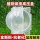 Plant high-pressure propagation box, garden flower and fruit tree gardening rose branch rooter, high-pressure grafting box, cutting ball