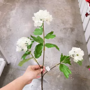 宜家假花 新人首单立减十元 22年6月 淘宝海外