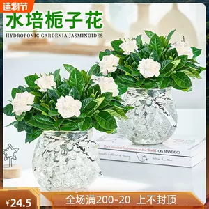 桌上水花盆 新人首单立减十元 22年9月 淘宝海外