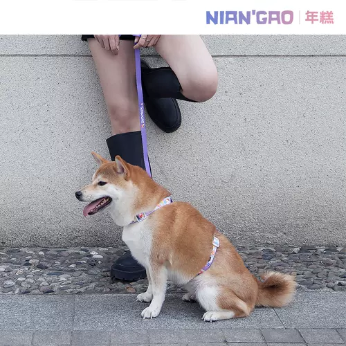 小型犬h型胸背带 新人首单立减十元 22年1月 淘宝海外