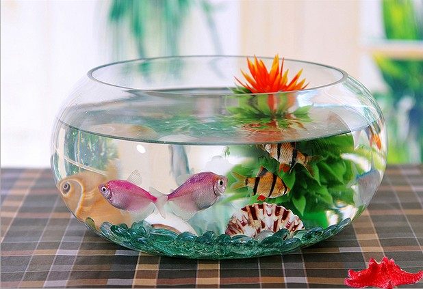 Creative desktop fish tank ecological round glass goldfish tank