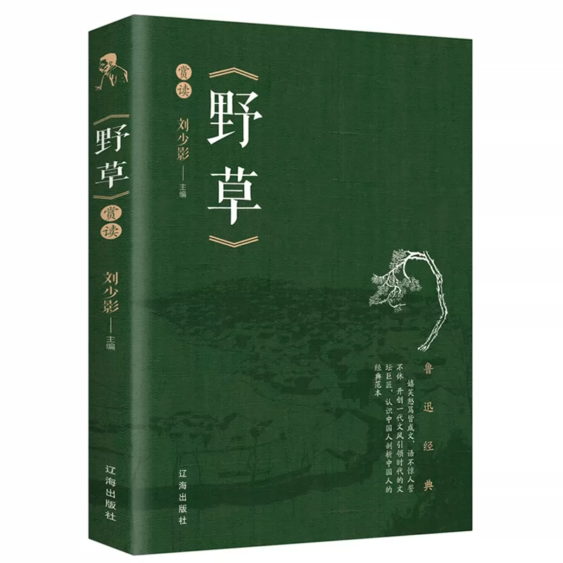 抒情小说 新人首单立减十元 2021年10月 淘宝海外