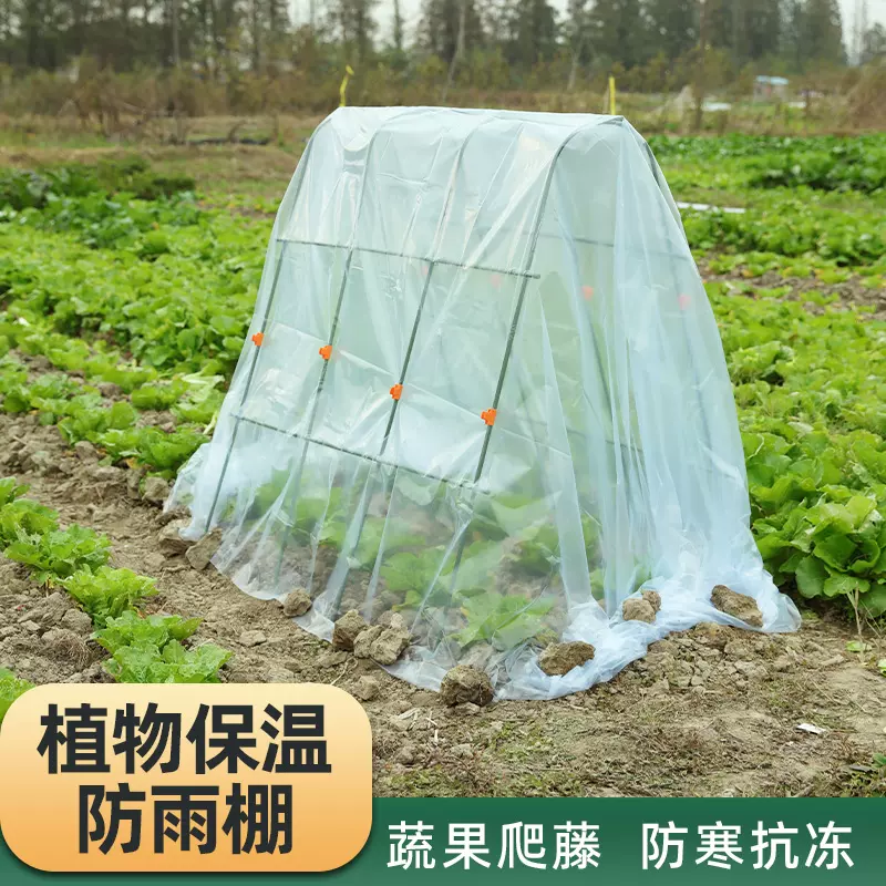 种菜防雨爬藤菜架子种植架西红柿植物温室花架雨棚