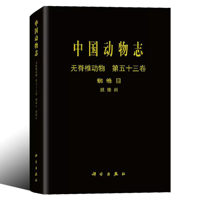 蛛标本 新人首单立减十元 21年12月 淘宝海外