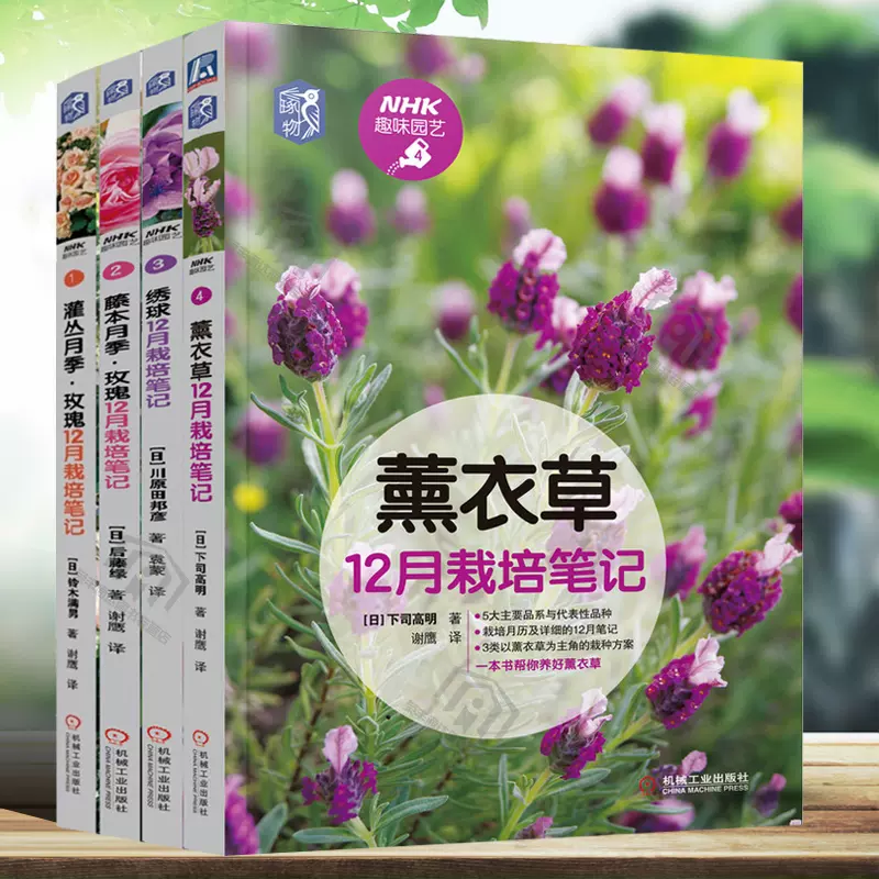 藤本月季玫瑰花 新人首单立减十元 21年11月 淘宝海外