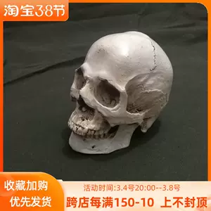 写生道具 新人首单立减十元 22年3月 淘宝海外