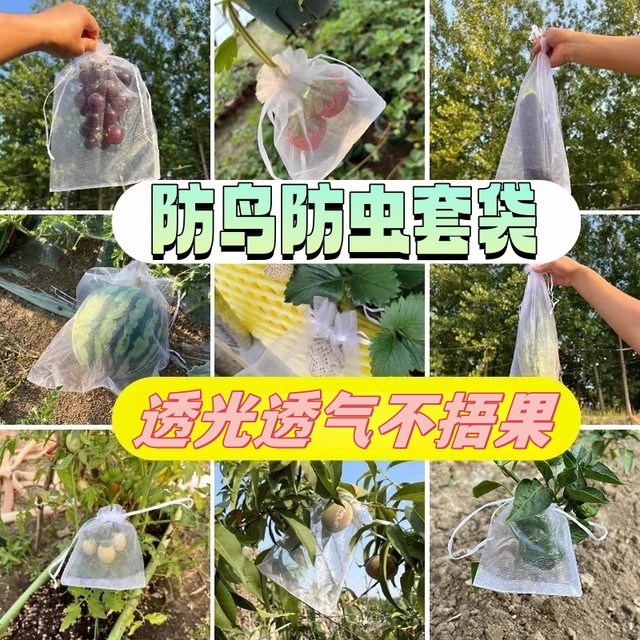 Fruit bag anti -bird, bird bag peach, peach, pomegranate pear special protection fruit tree bag bag mesh cover
