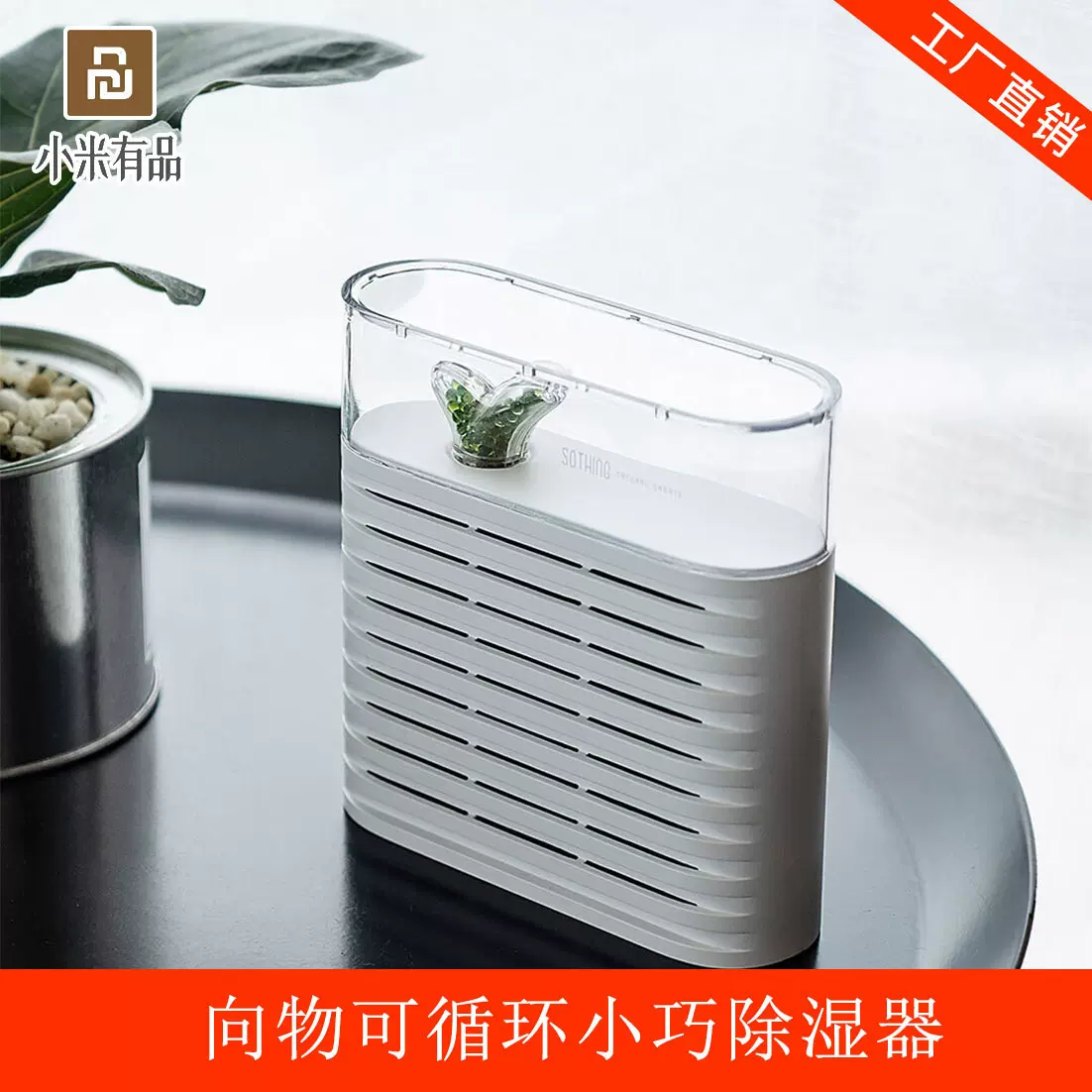 除湿小物 新人首单立减十元 2021年12月 淘宝海外