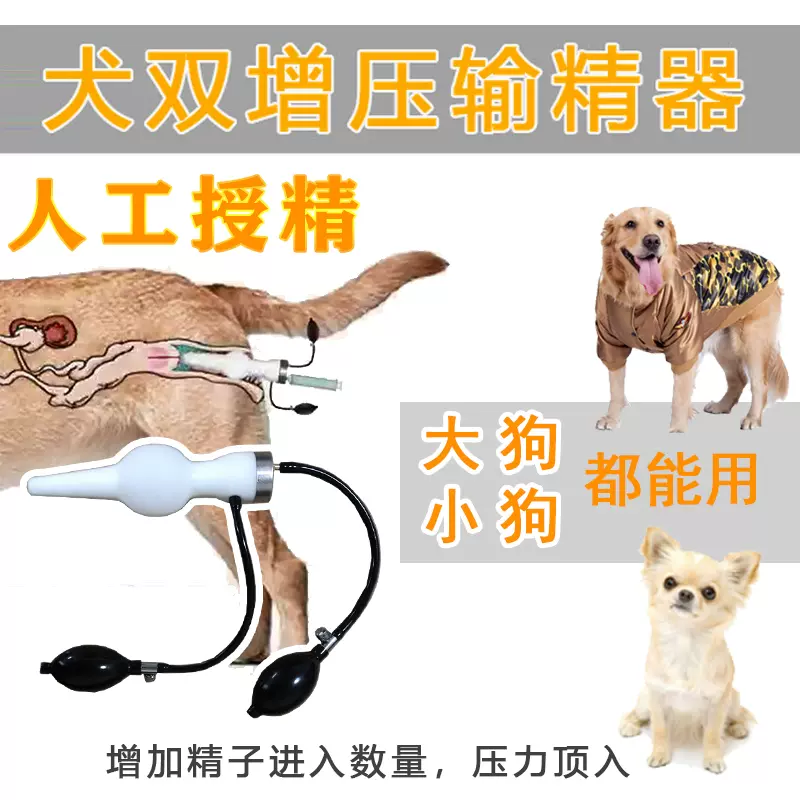 狗狗人工授精器犬用配种双增压输精管子助孕兽
