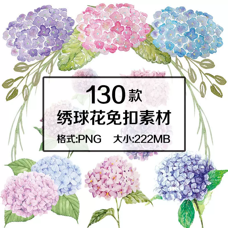 W221 手绘唯美绣球花邀请函卡片装饰png免扣透明背景美化素材