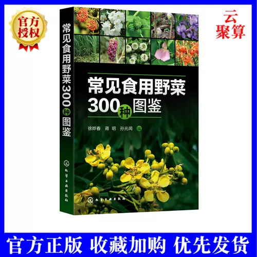 可食用植物种 新人首单立减十元 22年2月 淘宝海外