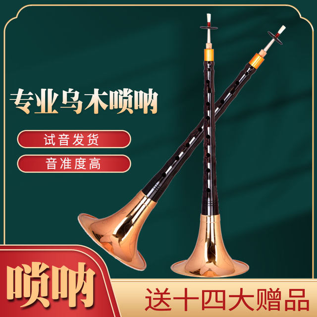 Instrument Suona Traditionnel Chinois En Bois - Suona Ton F Pour Débutants Avec Accessoires