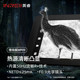 Arrow Yingrui WP09 outdoor night vision device R1+ wild jungle thermal sense to find birds with high definition infrared thermal imager