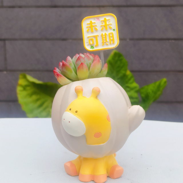 Cute cartoon animal succulent flower pots creative personalized succulent potted plants puppy bear animal decoration back-to-school gift