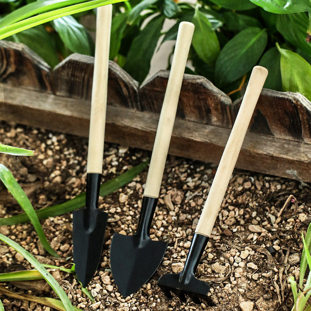 Potted small shovel planting flowers and gardening tools Planting succulent tools Set mini three -piece home with iron shovel
