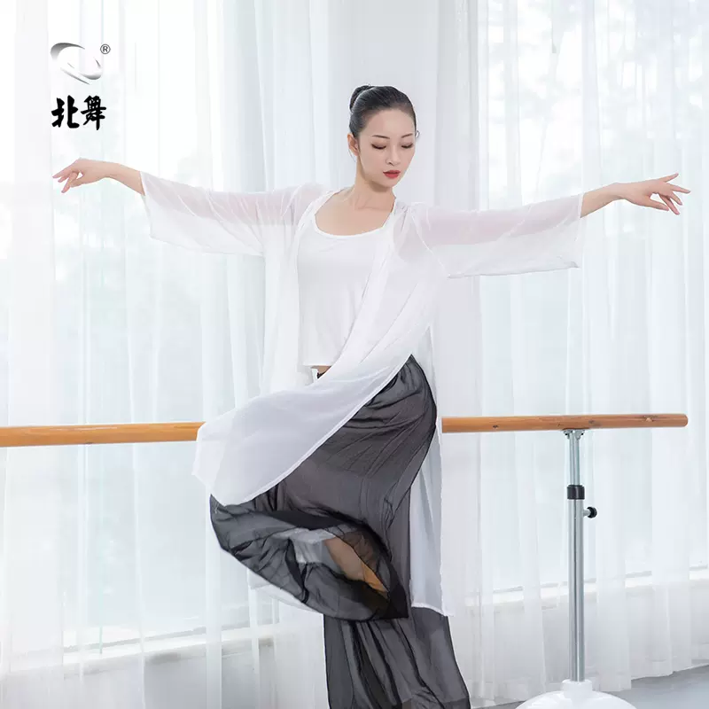 北舞舞蹈服古典舞练功服现代舞演出服飘逸雪纺纱
