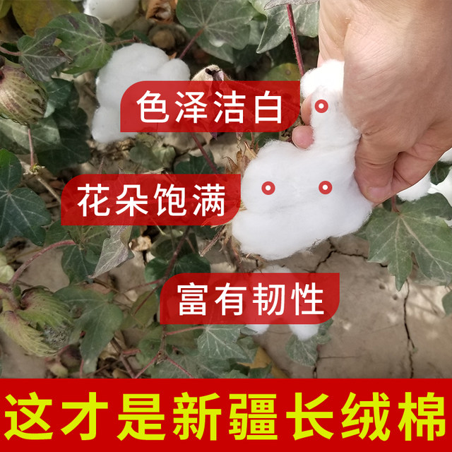 Xinjiang quilt long-staple cotton quilt cotton quilt core pure cotton quilt 100% cotton handmade cotton mattress pad quilt