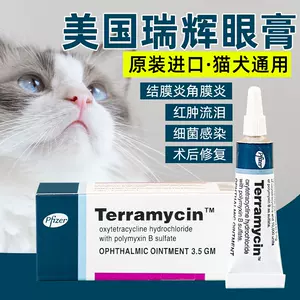 ç«çç¼çå'ç æ°äººé¦åç«ååå 2022å¹´6æ æ·å®æµ·å¤