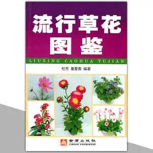 幸福草植物 新人首单立减十元 22年9月 淘宝海外