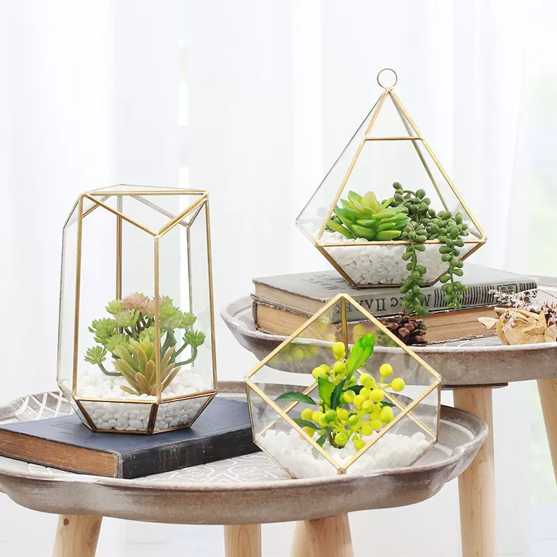 幾何玻璃花房 新人首單立減十元 21年11月 淘寶海外