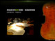 Pure handmade violin performance colleges and universities European materials Maple in European imported cloud fir solo