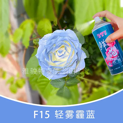 花染料喷 新人首单立减十元 22年2月 淘宝海外