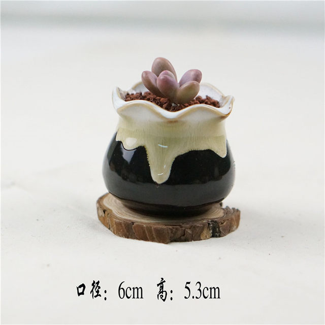 Popular meaty thumb basin breathable ceramic flower pot coarse pottery pot home furnishings zakka crafts