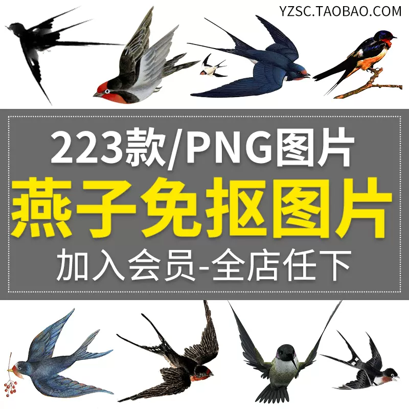 中國風古風水彩手繪燕子鳥透明免摳png圖案ps合成設計素材