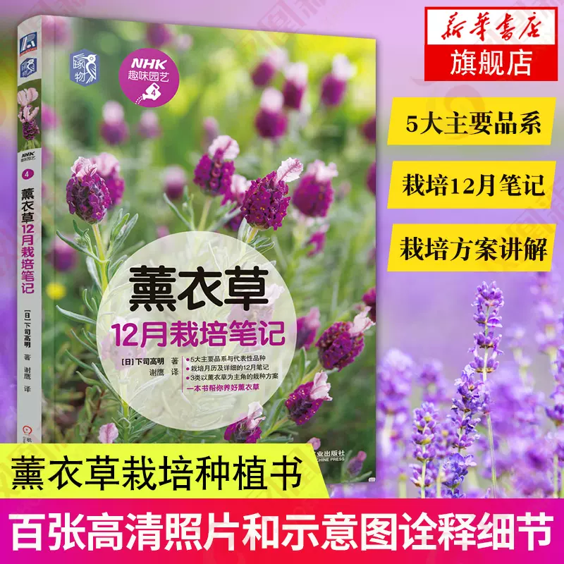 12月月历 新人首单立减十元 21年11月 淘宝海外