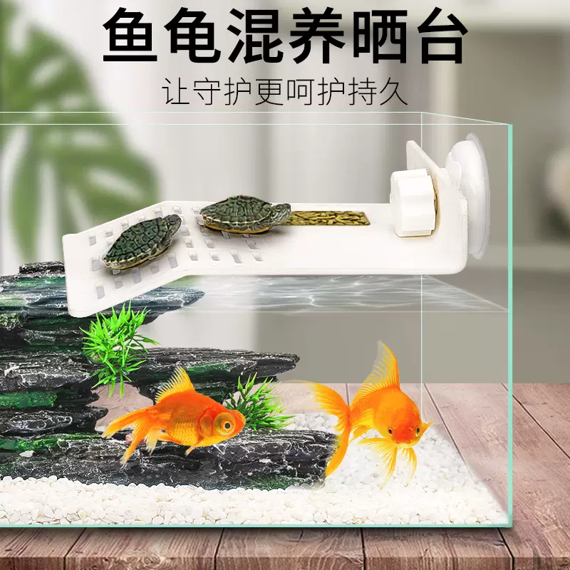 水草漂 新人首单立减十元 21年12月 淘宝海外 水草漂 新人首单立减十元 21年12月 淘宝海外